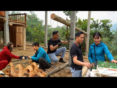 Harvesting livestock from the farm, Thuy and Men  a new journey in a kitchen filled with love.