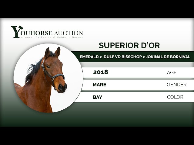 Superior D'or Type & Walk