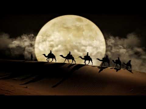 Musicdialogue.world - Musicdialogue.world - Midnight Caravan