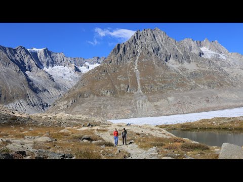 Swiss Alps: Altesch Glacier, Eggishorn, Fiescheralp