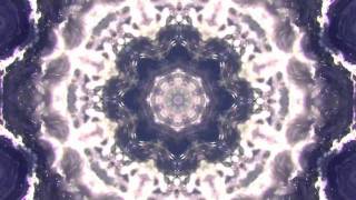 Surfer Blood - Neighbour Riffs (Fan Video)