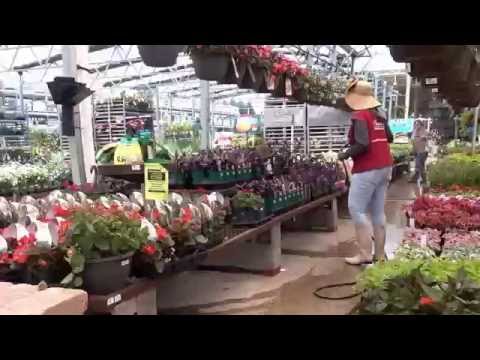Hose Lowes