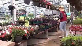 Hose in Lowes