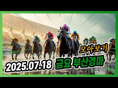 20245년 7월 18일 금요 부산경마 전체경주 모아보기