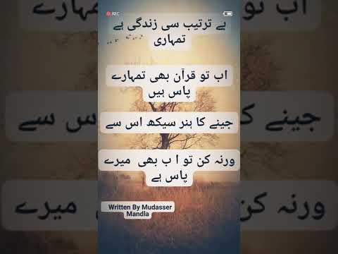 Mudasser  Mandla poetry #shorts