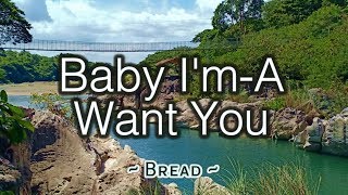 Baby I&#39;m - A Want You - KARAOKE VERSION - Bread