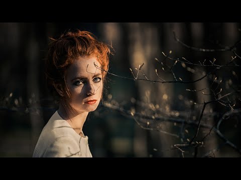 Stuck In A Frame - Sven Karlsson feat  August Macke | Rock Music