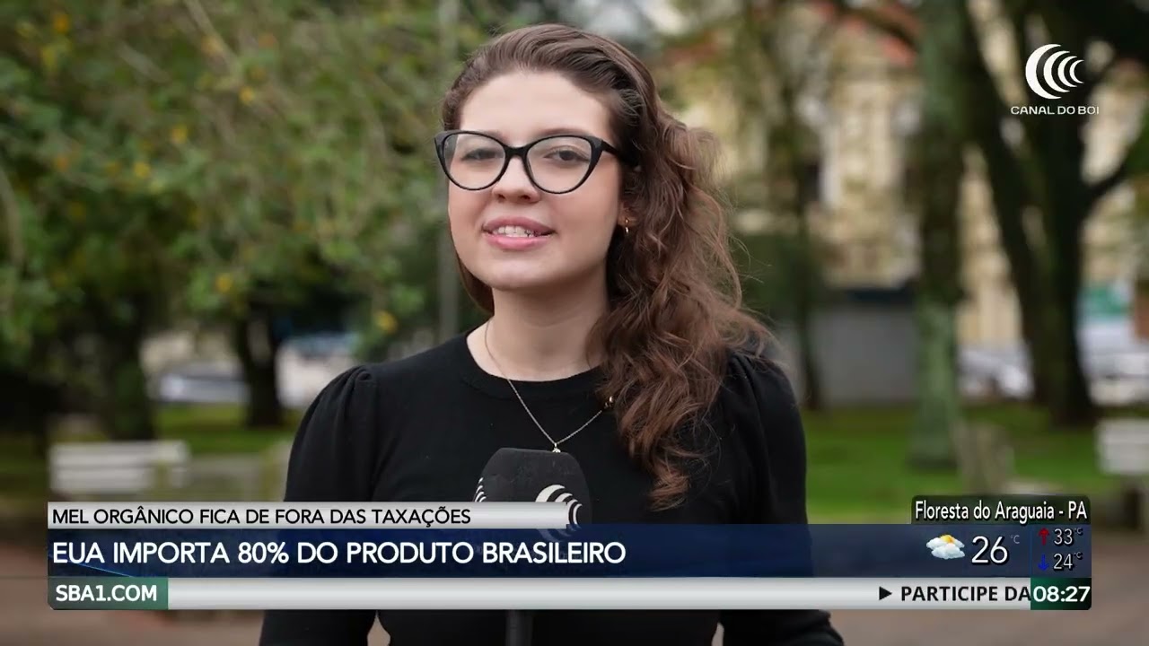 Mel orgânico fica fora das taxações dos Estados Unidos