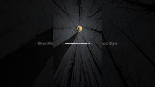 Download lagu Glass Animals - Heat Waves (Lyrics) Sometimes All I Think About Is You || #song #lyrics mp3 Download lagu Glass Animals - Heat Waves (Lyrics) Sometimes All I Think About Is You || #song #lyrics mp3