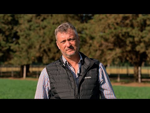 TRADICIÓN FAMILIAR Y GENÉTICA EN CRECIMIENTO