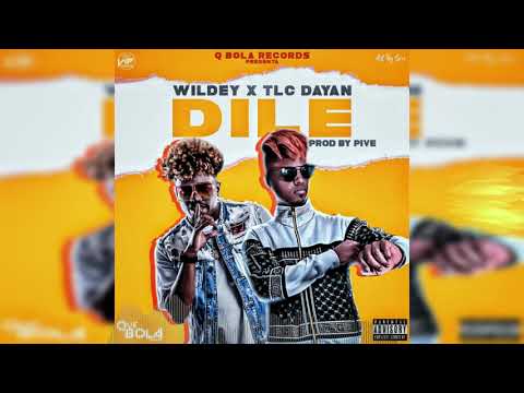 TLC DAYAN ❌ WILDEY_((DILE)) prod by Yoisel Pro y el Pive