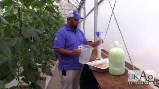 Irrigation Management for Soilless