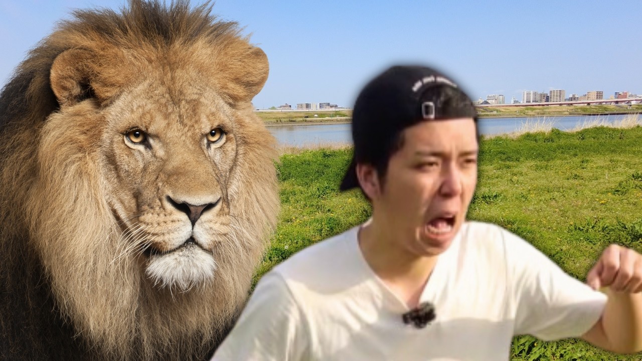 Easy Japanese - Animal 【Beginner】