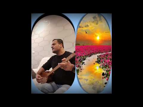 ARÎ BÎRGURÎ                                   Gula rengîn