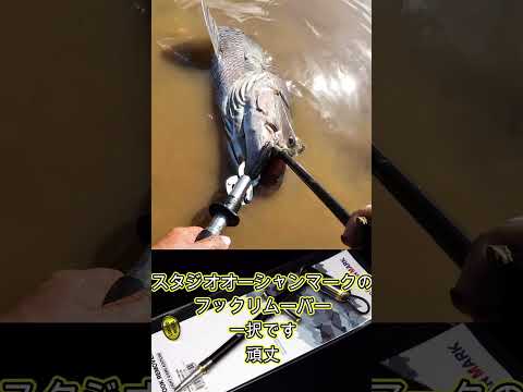 釣りノウハウ系ライブ縦型ショート切抜きます イメージ1