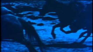 Joni Mitchell Refuge of the Roads pt.1