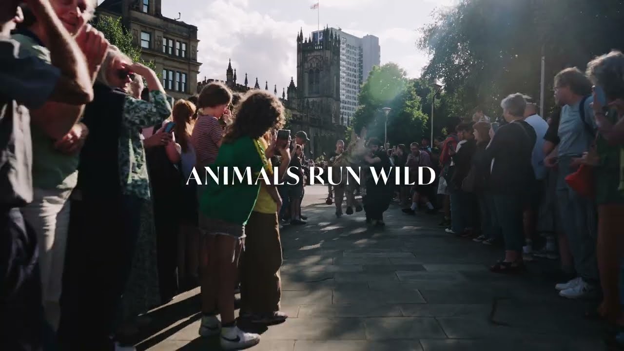 THE HERDS - Animals Run Wild