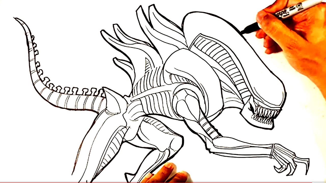How to Draw ALIEN XENOMORPH