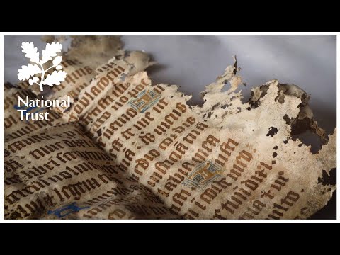 Rats Help Archeologists Uncover a Precious Surprise in England