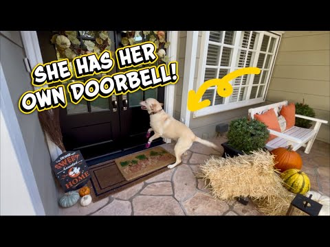 When Your Neighbor Becomes Family 💕 (Emmy & Linda Rose)