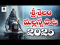 శ్రీశైలం మల్లన్న 2025 పాట అన్న మల్లన్న మ