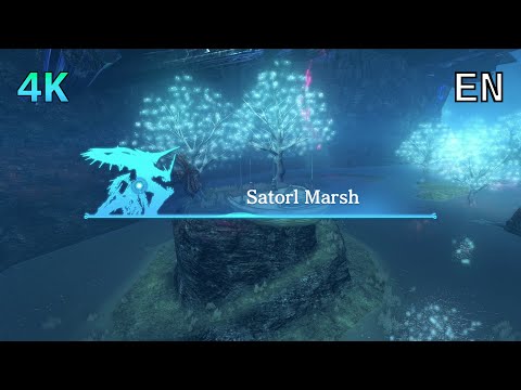 [4K] Xenoblade Chronicles D.E. Cutscene 044 – Enter Satorl Marsh – ENGLISH