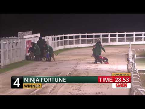 2018 ASTUTE ELECTRONICS GOLD CUP - HEAT 5 - T4 NINJA FORTUNE