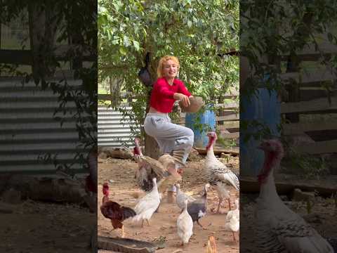 Mi hermana luchando con los pavos. 🤣🦃  #videos