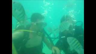 Um céu, um sol e um mar.