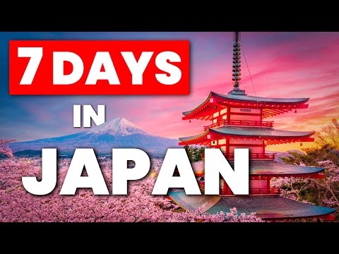 How To Spend 7 Days in Japan - A Spring Travel Itinerary