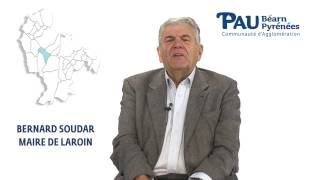Laroin