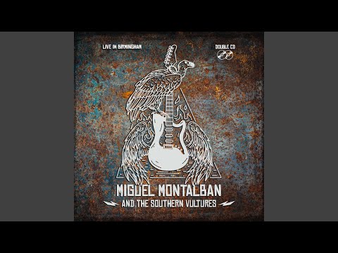 The House (Live in Birmingham)