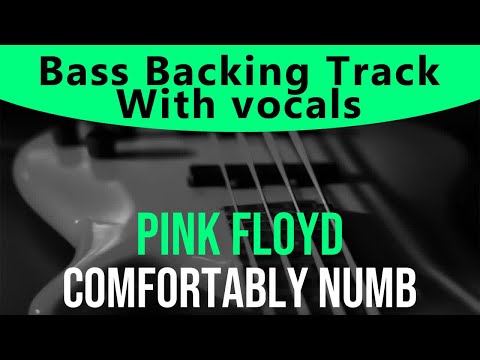 Pink Floyd - Comfortably numb (Bass backing track - Bassless)