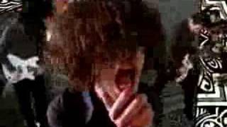 THE BLED - You Know Who's Seatbelt -