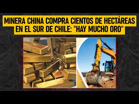 Minera China compra cientos de hectáreas en el sur de Chile: "Hay mucho oro"
