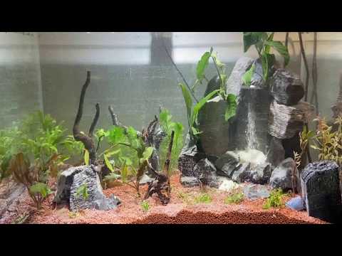 aquarium sandfall kit