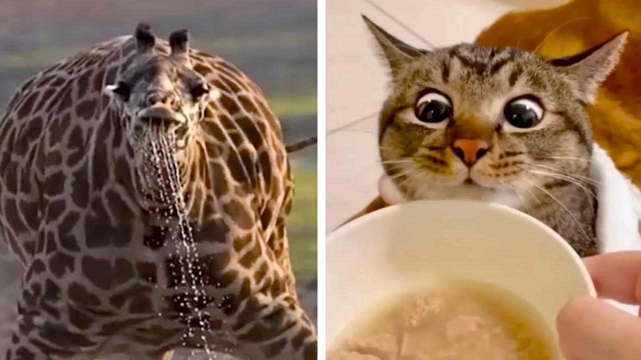 Кадры, которые обманут твой взгляд