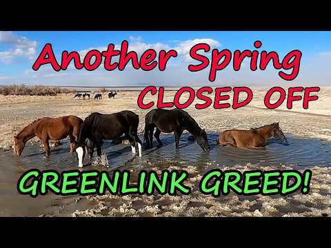 Heartbreaking: Critical Desert Spring Closed Off & Fenced Greenlink Environmental Impact Disaster!