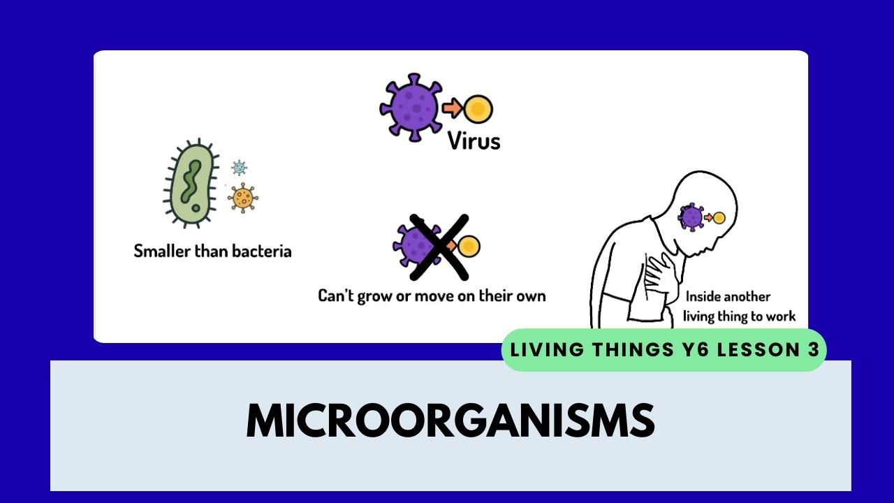 Microorganisms Made Easy | Year 6 Science
