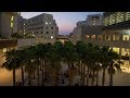New York University Abu Dhabi - NYUAD