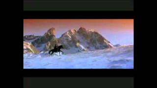 Ladyhawke - Vedes Amigo