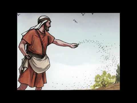 Das Gleichnis vom Sämann