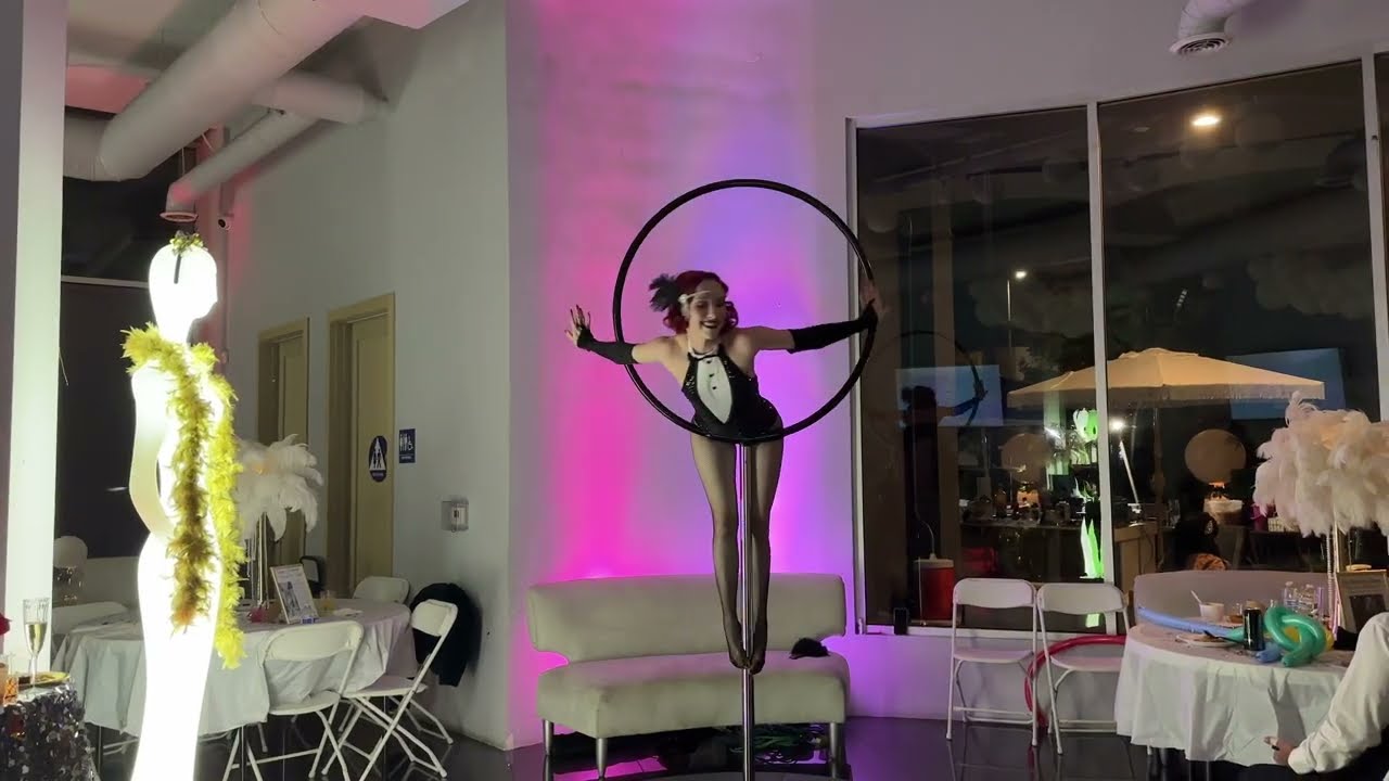 Promotional video thumbnail 2 for Aerial Em