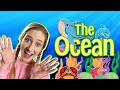 Learning Ocean Animal Life | Sarah Sunshine