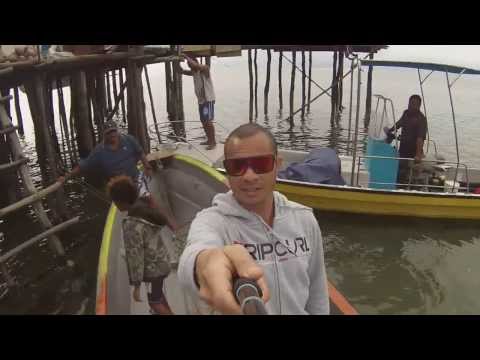 Raukele, Hood Point 2014