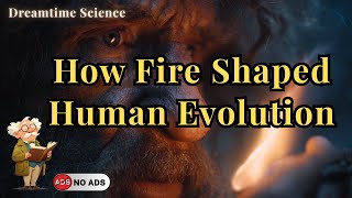 How Fire Shaped Human Evolution