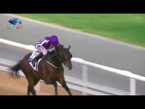 Dubai World Cup 2018 | Race 4 - UAE Derby Sponsored By Saeed & Mohammed Al Naboodah Group