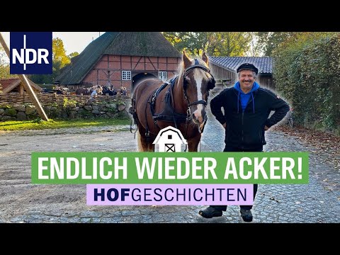 Zu viel Mist - mit den Kaltblütern auf das Feld  | (171) | Die Nordreportage Hofgeschichten | NDR