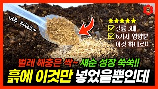 (달걀껍질 아님