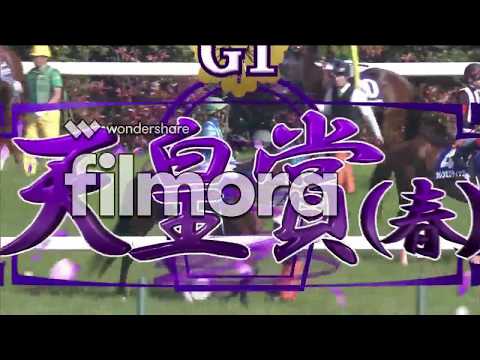 【競馬】2018　天皇賞(春)